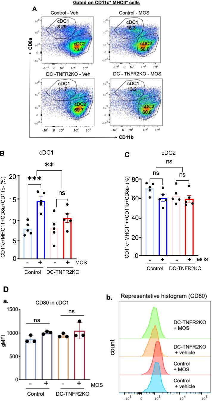 https://cdn.ncbi.nlm.nih.gov/pmc/blobs/95c5/12391354/823b66b16cd2/41598_2025_15175_Fig3_HTML.jpg