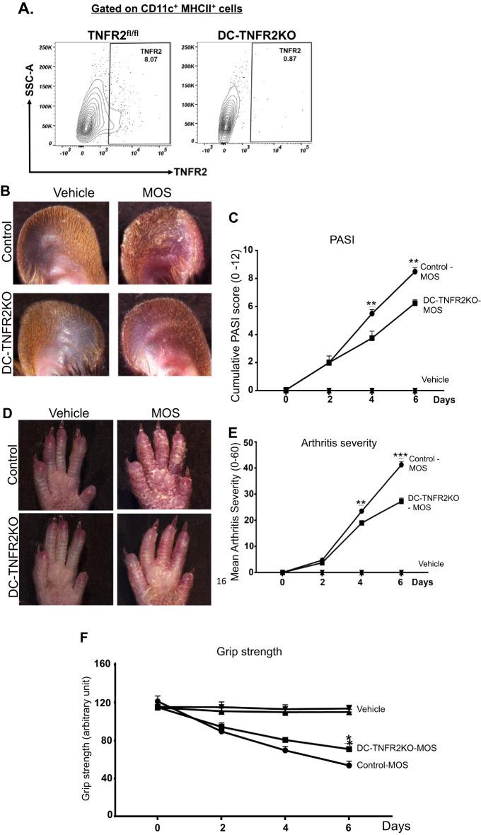 https://cdn.ncbi.nlm.nih.gov/pmc/blobs/95c5/12391354/deeade773f6f/41598_2025_15175_Fig1_HTML.jpg