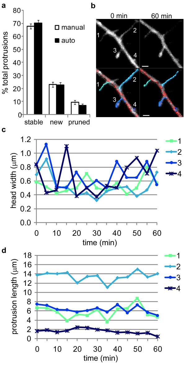 https://cdn.ncbi.nlm.nih.gov/pmc/blobs/95c5/3213078/1bc691fdac45/1756-6606-4-38-2.jpg