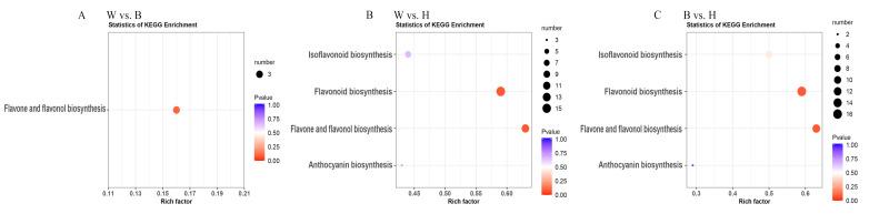 https://cdn.ncbi.nlm.nih.gov/pmc/blobs/95c7/8126211/dc8ba6326807/molecules-26-02830-g005.jpg