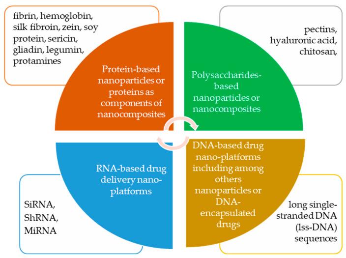 https://cdn.ncbi.nlm.nih.gov/pmc/blobs/95cb/10970185/b4208df49e27/ijms-25-03126-g003.jpg