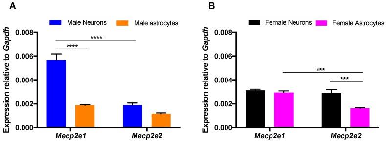 https://cdn.ncbi.nlm.nih.gov/pmc/blobs/95cb/6514911/f719b5ddb245/ijms-20-01845-g002.jpg