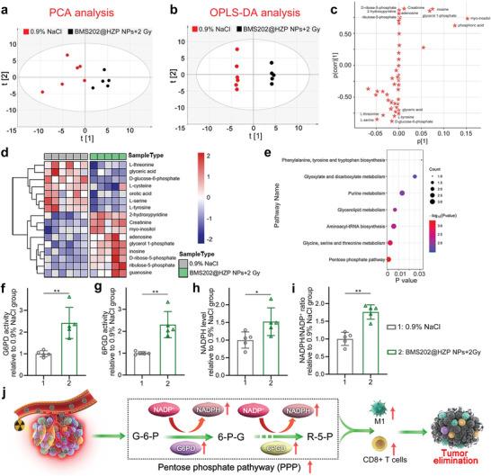 https://cdn.ncbi.nlm.nih.gov/pmc/blobs/95cf/9875612/118423a3db2e/ADVS-10-2203788-g005.jpg