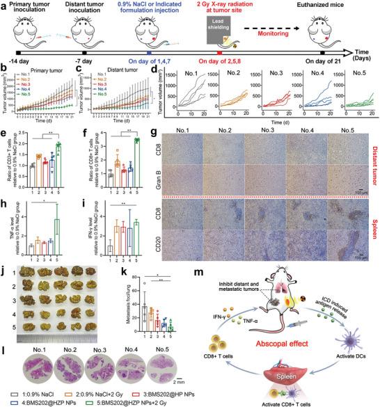 https://cdn.ncbi.nlm.nih.gov/pmc/blobs/95cf/9875612/320a165175a6/ADVS-10-2203788-g004.jpg