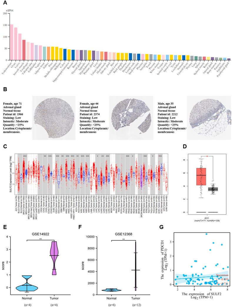 https://cdn.ncbi.nlm.nih.gov/pmc/blobs/95d0/9957709/964557f4a603/gr1.jpg