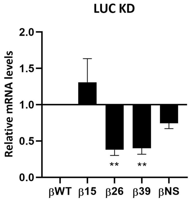 https://cdn.ncbi.nlm.nih.gov/pmc/blobs/95d1/11507897/402624741c7e/genes-15-01308-g0A1.jpg
