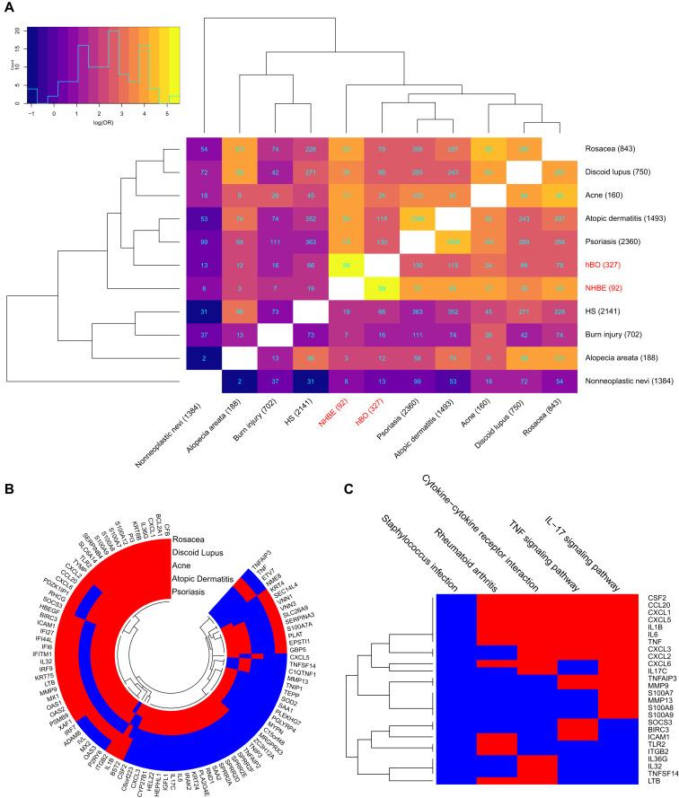https://cdn.ncbi.nlm.nih.gov/pmc/blobs/95d1/7825803/c968c6981672/gr1_lrg.jpg