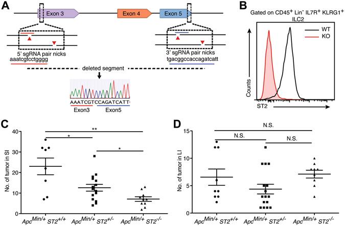 https://cdn.ncbi.nlm.nih.gov/pmc/blobs/95d3/5511216/02374b885bff/41598_2017_5716_Fig4_HTML.jpg