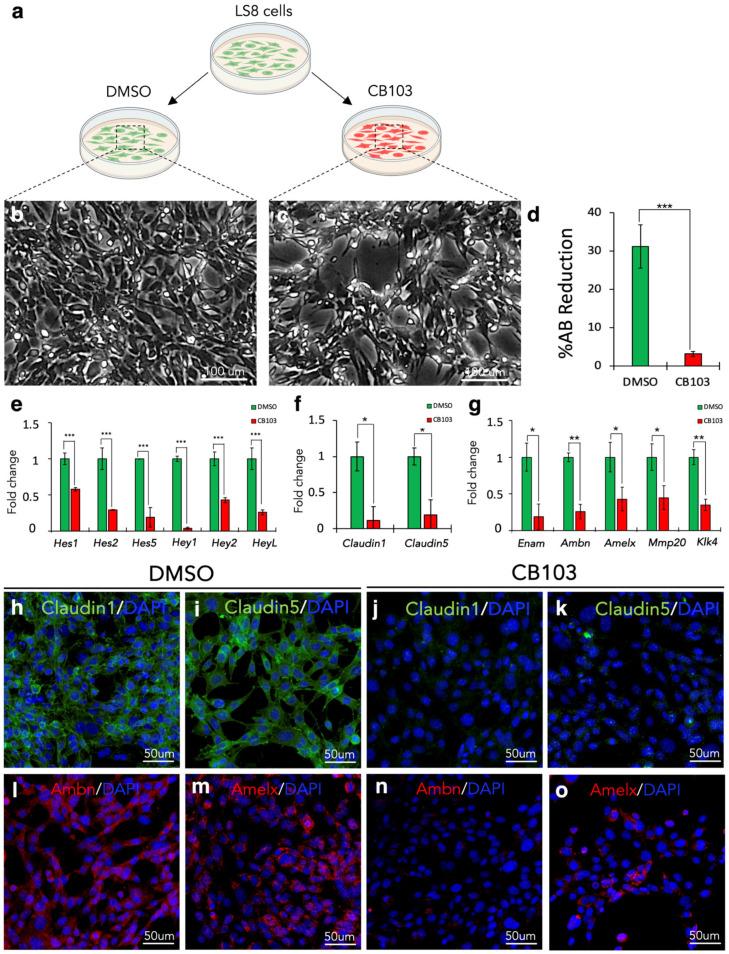 https://cdn.ncbi.nlm.nih.gov/pmc/blobs/95d4/12345687/5c1db1fc199d/cells-14-01224-g010.jpg
