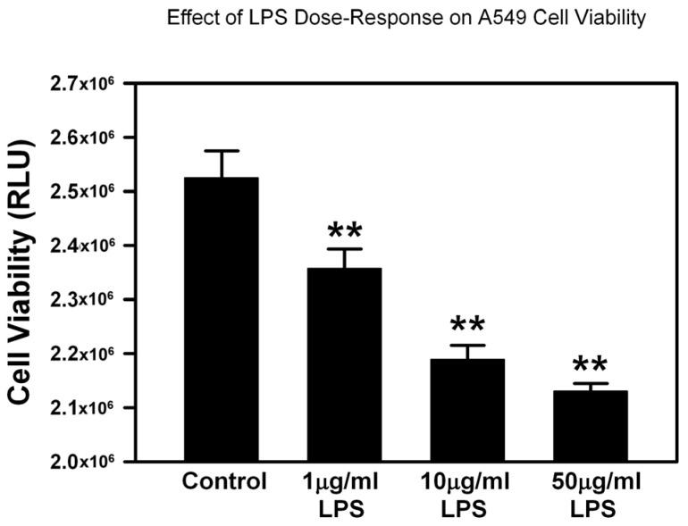 https://cdn.ncbi.nlm.nih.gov/pmc/blobs/95d8/11719573/148971c73a4f/ijms-26-00075-g002.jpg