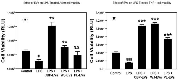 https://cdn.ncbi.nlm.nih.gov/pmc/blobs/95d8/11719573/9bd05fce5930/ijms-26-00075-g004.jpg