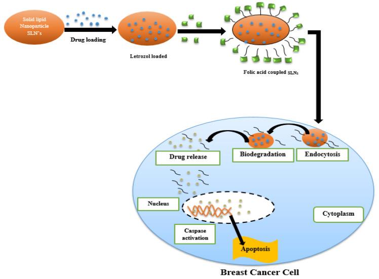https://cdn.ncbi.nlm.nih.gov/pmc/blobs/95d8/9781272/a894ccda083e/nanomaterials-12-04494-g004.jpg