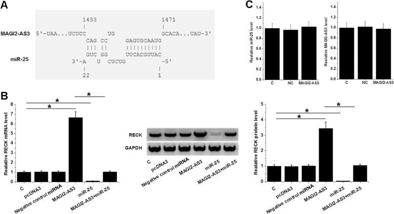 https://cdn.ncbi.nlm.nih.gov/pmc/blobs/95db/7059274/4a23b4be453a/12890_2020_1064_Fig3_HTML.jpg