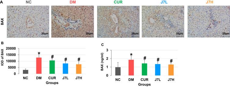 https://cdn.ncbi.nlm.nih.gov/pmc/blobs/95de/11971964/0b8ade8397b8/DDDT-19-2411-g0006.jpg