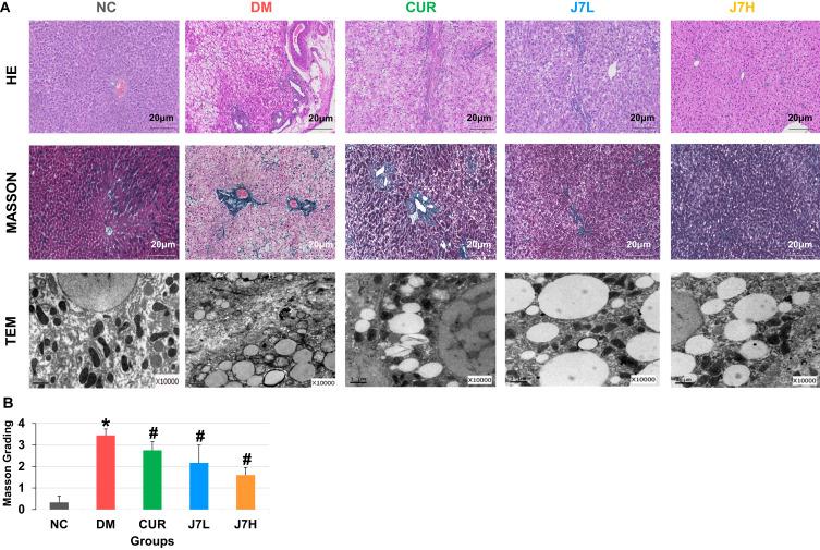 https://cdn.ncbi.nlm.nih.gov/pmc/blobs/95de/11971964/25863abda9c9/DDDT-19-2411-g0003.jpg