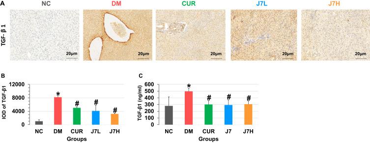 https://cdn.ncbi.nlm.nih.gov/pmc/blobs/95de/11971964/912956956f72/DDDT-19-2411-g0004.jpg