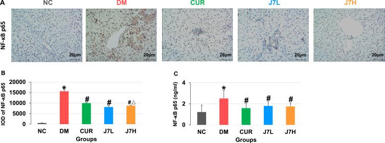 https://cdn.ncbi.nlm.nih.gov/pmc/blobs/95de/11971964/f31d3ef6cec5/DDDT-19-2411-g0005.jpg