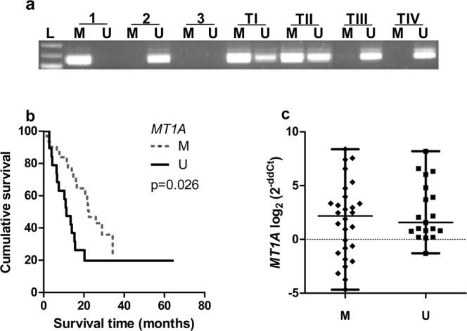 https://cdn.ncbi.nlm.nih.gov/pmc/blobs/95e0/6443939/fe89b125716b/41598_2019_41974_Fig3_HTML.jpg