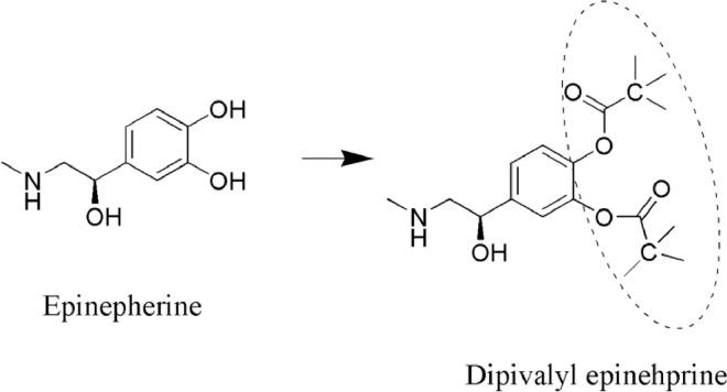 https://cdn.ncbi.nlm.nih.gov/pmc/blobs/95e0/8105420/499581a51dbc/gr2.jpg