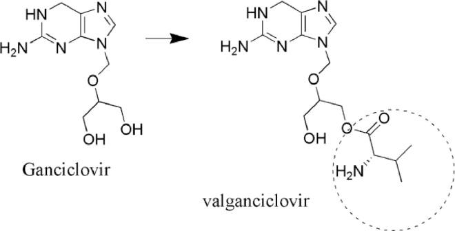 https://cdn.ncbi.nlm.nih.gov/pmc/blobs/95e0/8105420/8a9148b49f6f/gr5.jpg