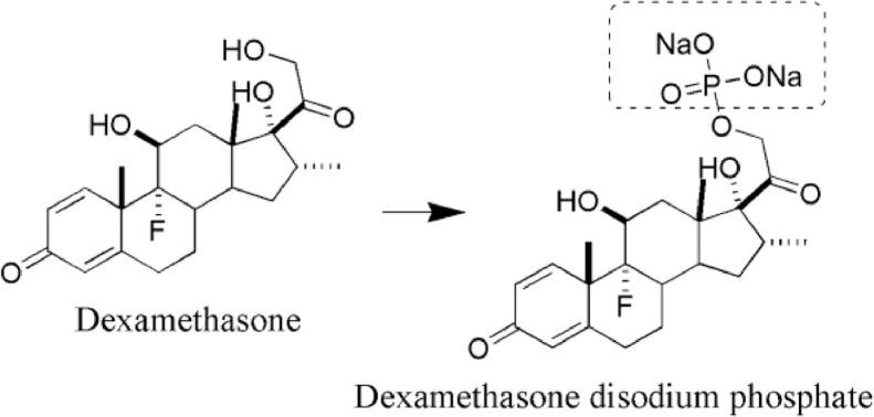 https://cdn.ncbi.nlm.nih.gov/pmc/blobs/95e0/8105420/e41a1c57b230/gr12.jpg