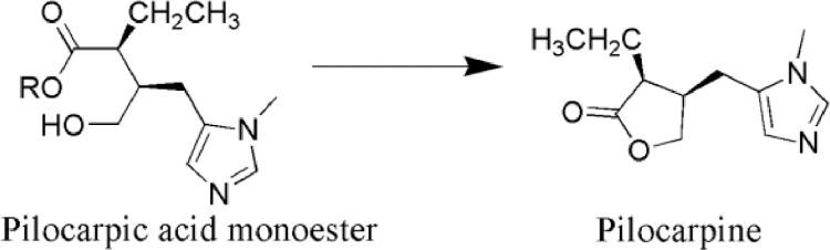 https://cdn.ncbi.nlm.nih.gov/pmc/blobs/95e0/8105420/e6951087695d/gr10.jpg