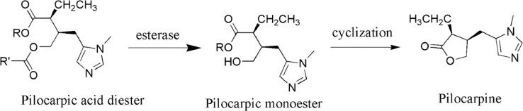 https://cdn.ncbi.nlm.nih.gov/pmc/blobs/95e0/8105420/f45128b45030/gr11.jpg