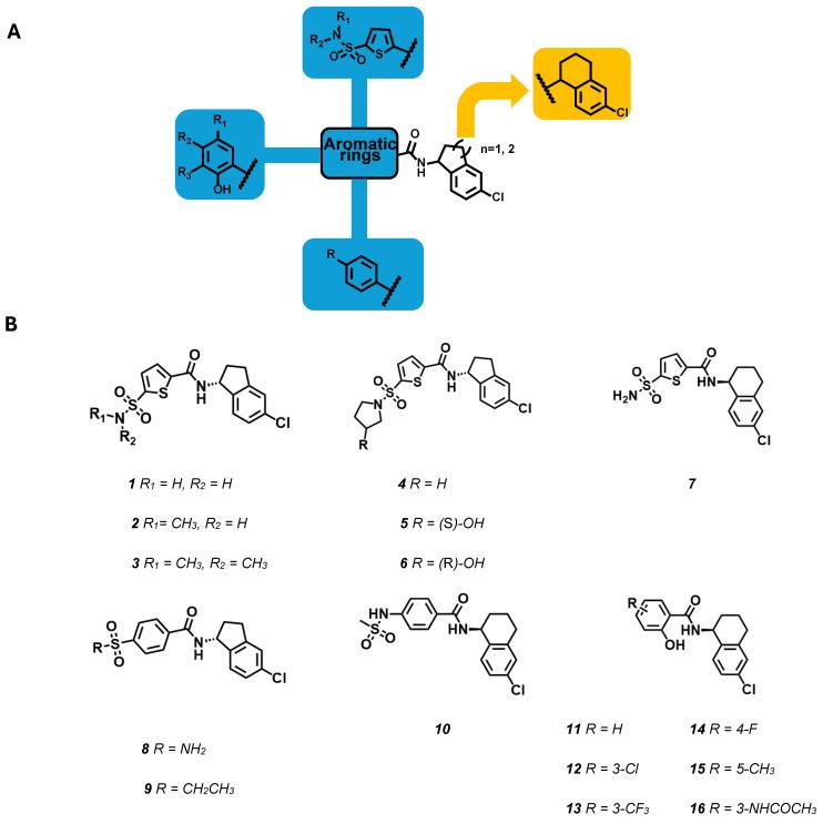 https://cdn.ncbi.nlm.nih.gov/pmc/blobs/95e2/11206332/e635b615f6fc/molecules-29-02940-g007.jpg