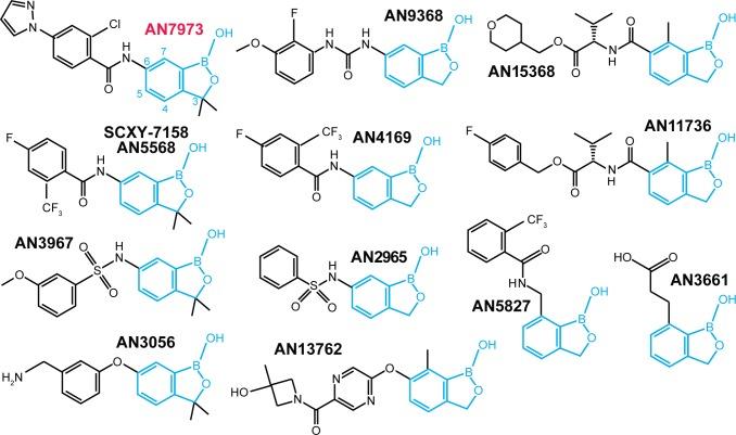 https://cdn.ncbi.nlm.nih.gov/pmc/blobs/95e2/6173450/15cdb608854a/ppat.1007315.g001.jpg