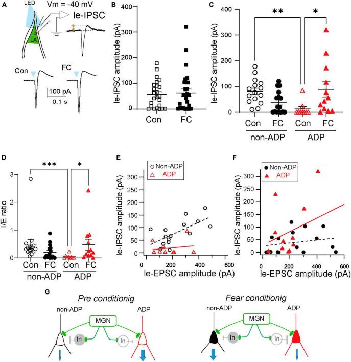 https://cdn.ncbi.nlm.nih.gov/pmc/blobs/95e6/10755964/49f4483646fd/fncel-17-1292822-g005.jpg