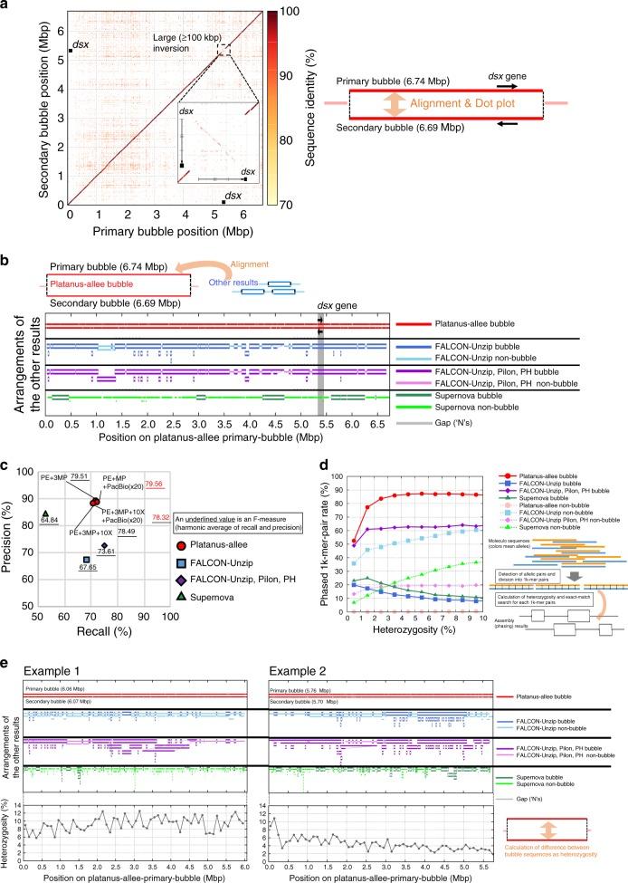 https://cdn.ncbi.nlm.nih.gov/pmc/blobs/95e7/6461651/5d266249930f/41467_2019_9575_Fig2_HTML.jpg