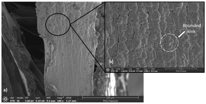 https://cdn.ncbi.nlm.nih.gov/pmc/blobs/95ea/8537549/3f09172f58e3/polymers-13-03553-g007.jpg