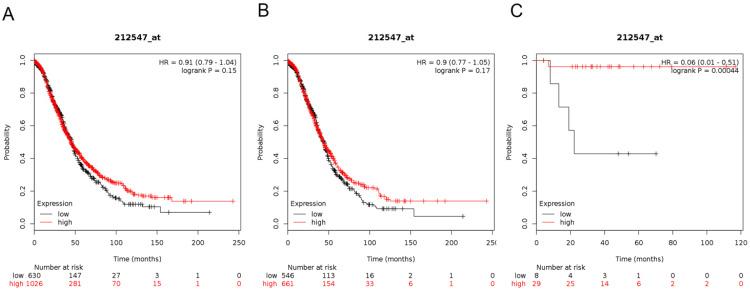 https://cdn.ncbi.nlm.nih.gov/pmc/blobs/95ea/8965123/c70679b3d940/jcav13p1695g004.jpg