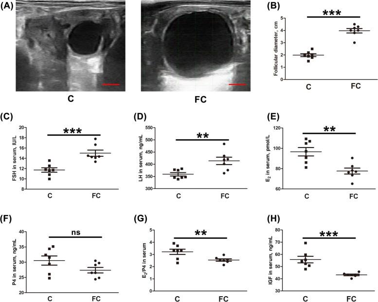https://cdn.ncbi.nlm.nih.gov/pmc/blobs/95ec/11375867/15f0731d52e2/40104_2024_1078_Fig1_HTML.jpg