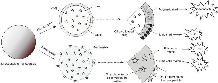 https://cdn.ncbi.nlm.nih.gov/pmc/blobs/95ec/4134022/ccdf47c10eaf/ijn-9-3719Fig1.jpg