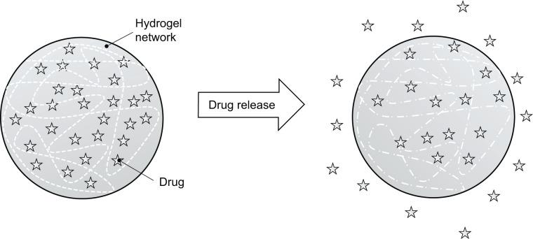 https://cdn.ncbi.nlm.nih.gov/pmc/blobs/95ec/4134022/d075771e00d9/ijn-9-3719Fig3.jpg