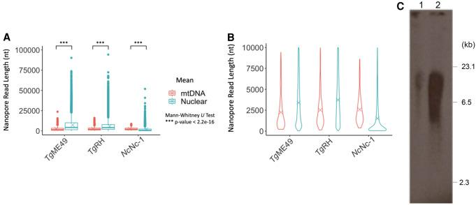 https://cdn.ncbi.nlm.nih.gov/pmc/blobs/95ee/8092004/d6318235da20/852f05.jpg