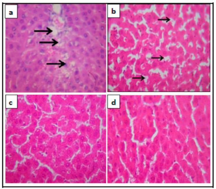 https://cdn.ncbi.nlm.nih.gov/pmc/blobs/95f3/7495049/8cc50b037c4b/gr1.jpg