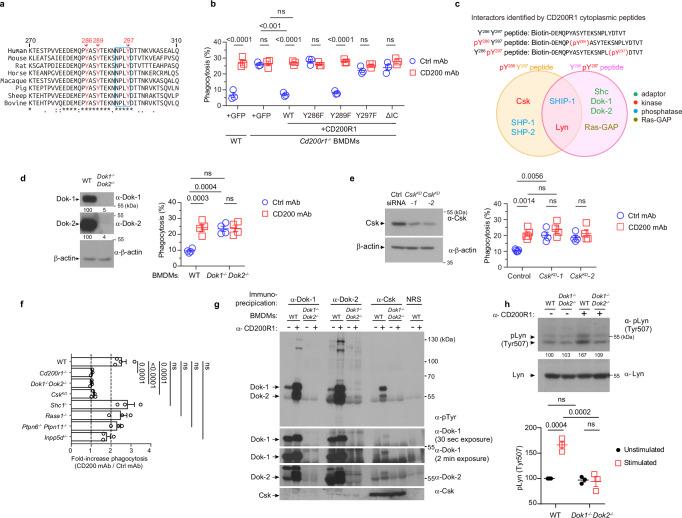 https://cdn.ncbi.nlm.nih.gov/pmc/blobs/95f5/12134331/c50e80911682/41467_2025_60456_Fig6_HTML.jpg