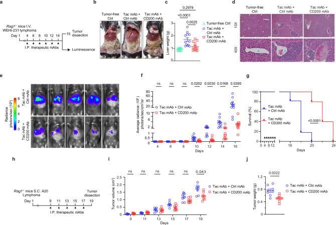 https://cdn.ncbi.nlm.nih.gov/pmc/blobs/95f5/12134331/ca3b0467d374/41467_2025_60456_Fig3_HTML.jpg
