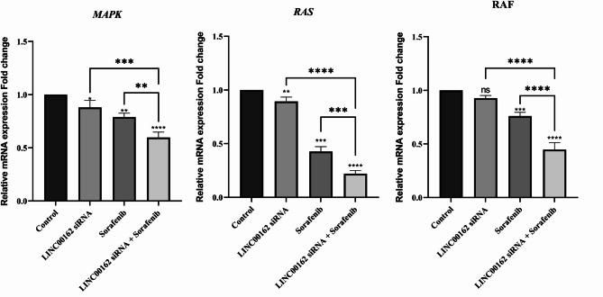 https://cdn.ncbi.nlm.nih.gov/pmc/blobs/95f5/12350744/bd0596491853/41598_2025_12805_Fig11_HTML.jpg