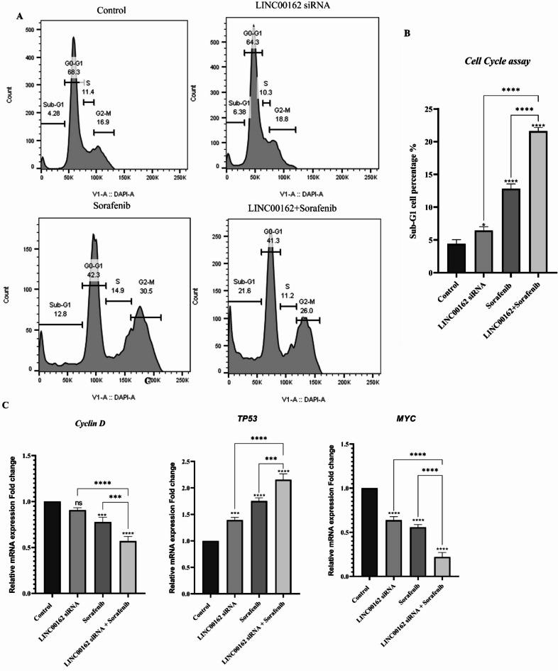 https://cdn.ncbi.nlm.nih.gov/pmc/blobs/95f5/12350744/f505f4b5153a/41598_2025_12805_Fig8_HTML.jpg