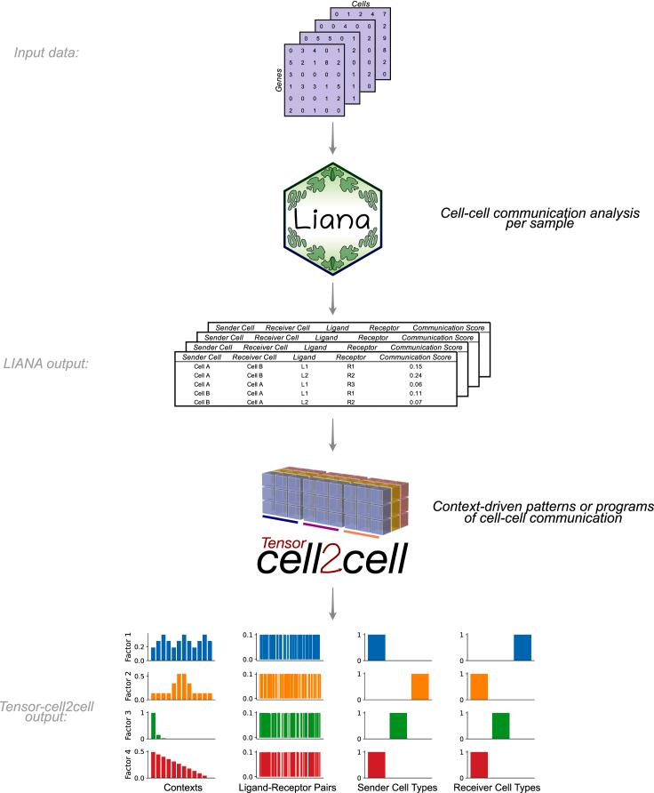 https://cdn.ncbi.nlm.nih.gov/pmc/blobs/95f6/11046036/5f47ebd8dc7e/gr1.jpg