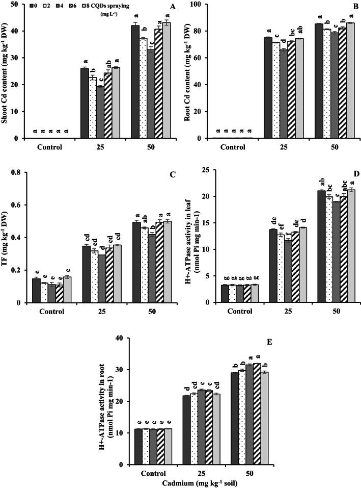 https://cdn.ncbi.nlm.nih.gov/pmc/blobs/95fb/12405533/1ad619f2a115/41598_2025_18316_Fig1_HTML.jpg