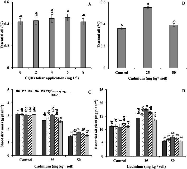 https://cdn.ncbi.nlm.nih.gov/pmc/blobs/95fb/12405533/76f05cbe7327/41598_2025_18316_Fig3_HTML.jpg