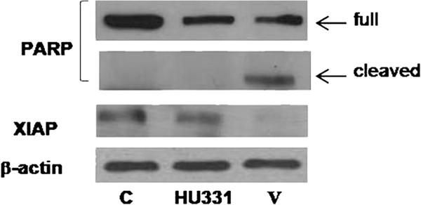 https://cdn.ncbi.nlm.nih.gov/pmc/blobs/95fe/3666920/3491119c388b/1756-9966-32-24-5.jpg