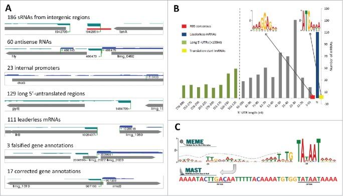 https://cdn.ncbi.nlm.nih.gov/pmc/blobs/95fe/4829306/cdbd35ad887a/krnb-13-03-1146855-g001.jpg