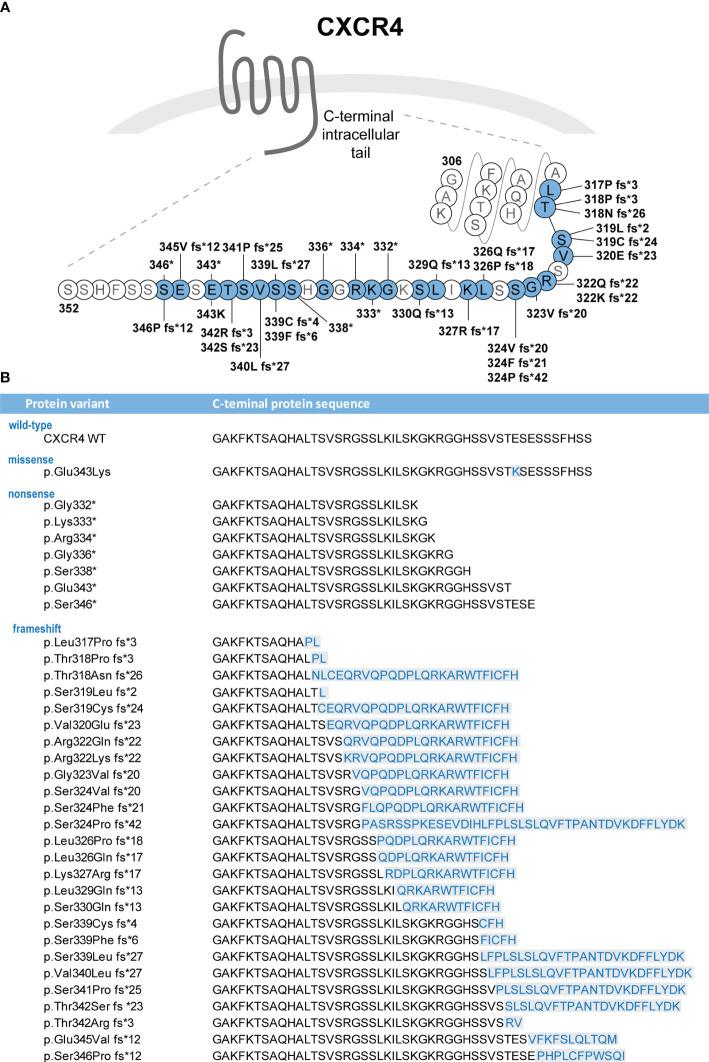 https://cdn.ncbi.nlm.nih.gov/pmc/blobs/9601/11260667/57220af4bd05/fimmu-15-1411141-g001.jpg