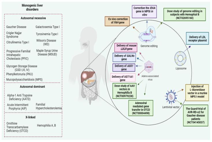https://cdn.ncbi.nlm.nih.gov/pmc/blobs/9602/9404740/9f36cef69faa/bioengineering-09-00392-g001.jpg