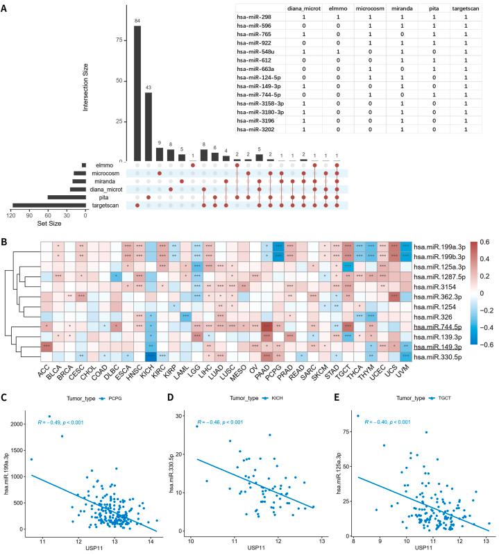 https://cdn.ncbi.nlm.nih.gov/pmc/blobs/9606/11305246/3bd84d3b1179/gr9.jpg